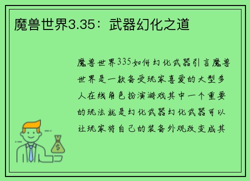 魔兽世界3.35：武器幻化之道